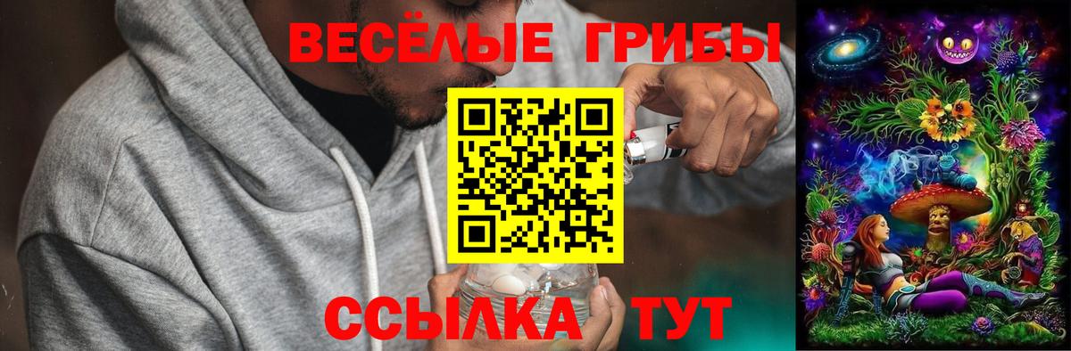 Галлюциногенные грибы Cubensis Благодарный