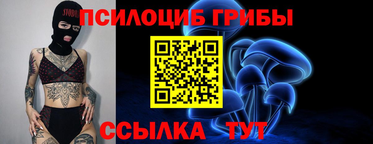 Галлюциногенные грибы мицелий  Вход с VPN  Благодарный  Галлюциногенные грибы Magic Shrooms 